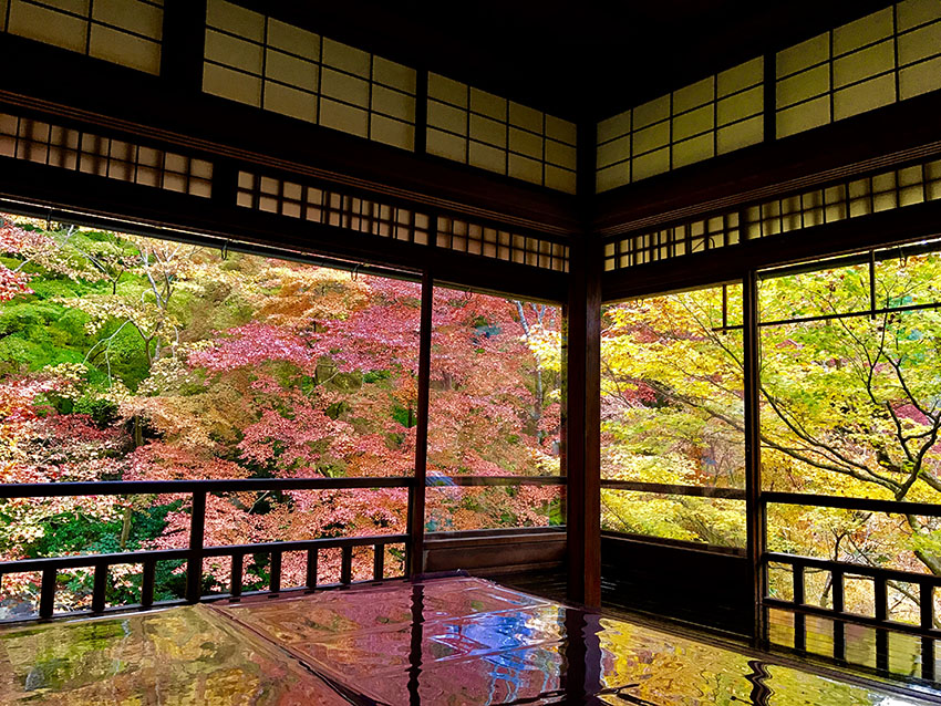 瑠璃光院|プリンス宝ヶ池京都の周辺スポット