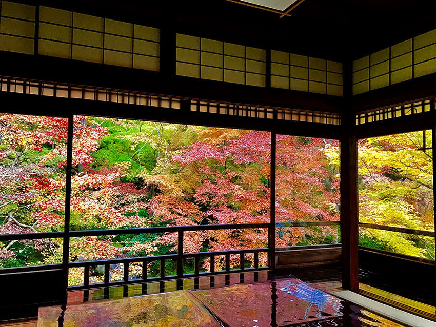 瑠璃光院|プリンス宝ヶ池京都の周辺スポット