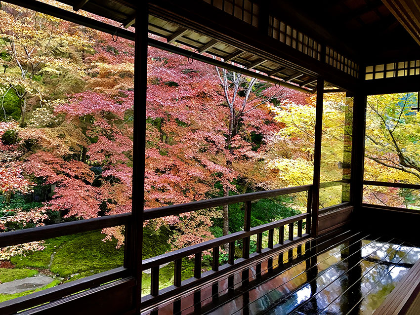 瑠璃光院|プリンス宝ヶ池京都の周辺スポット