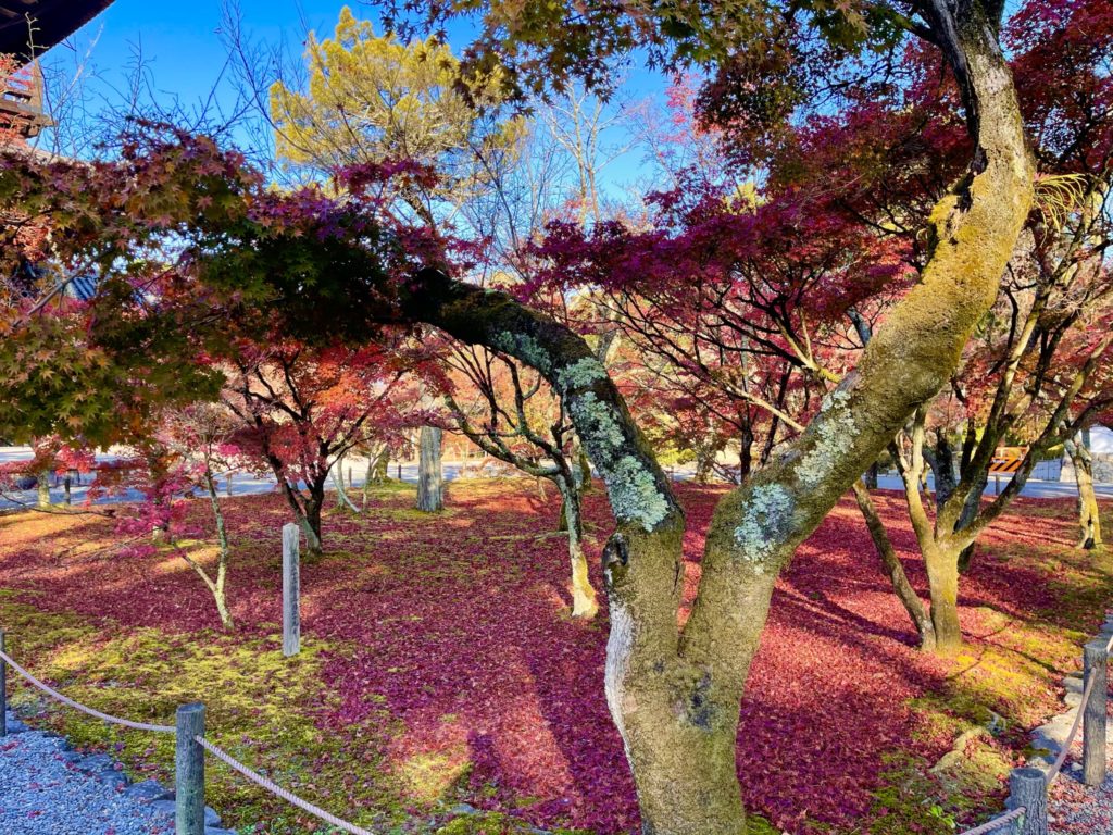 ウェスティン都ホテル京都|周辺観光スポット(南禅寺)