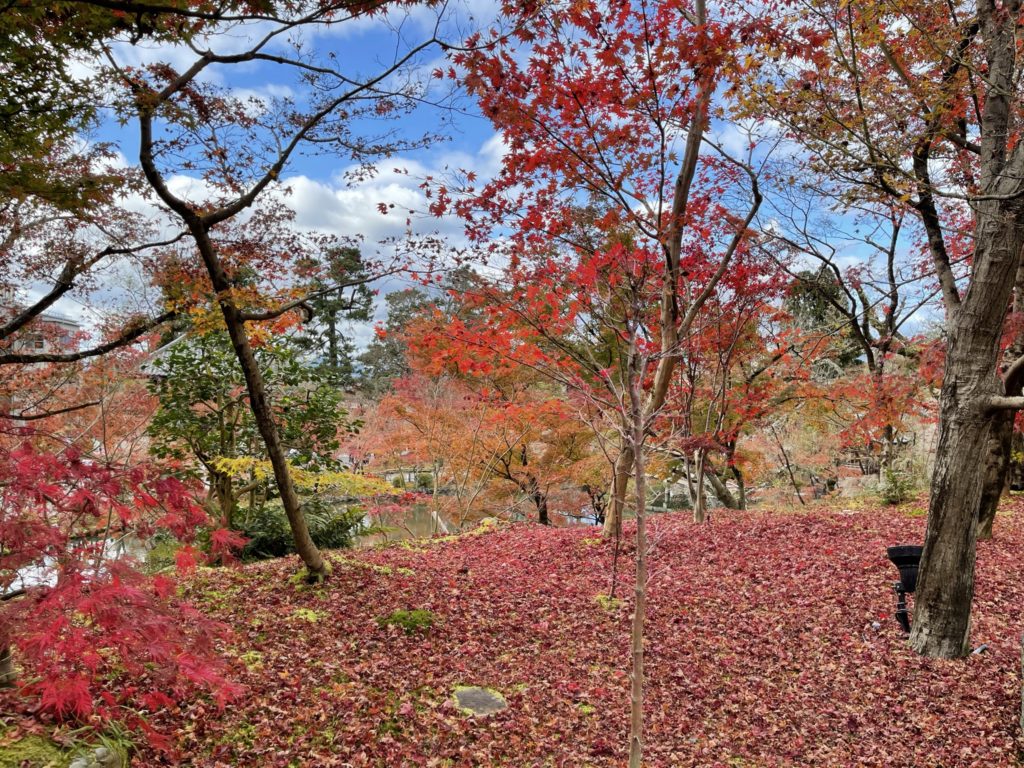 ウェスティン都ホテル京都|周辺観光スポット(永観堂禅林寺)