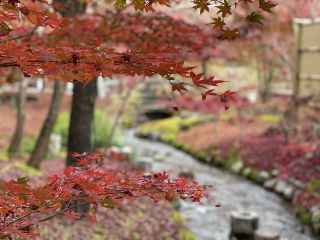 ウェスティン都ホテル京都|周辺観光スポット(永観堂禅林寺)