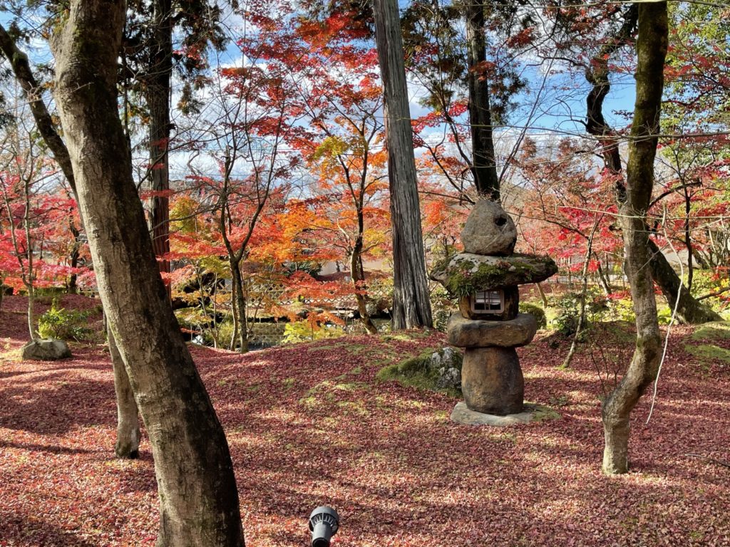 ウェスティン都ホテル京都|周辺観光スポット(永観堂禅林寺)