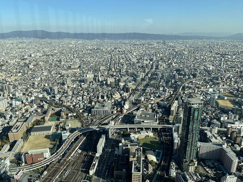 大阪マリオット都ホテル｜特典（あべのハルカス展望台）