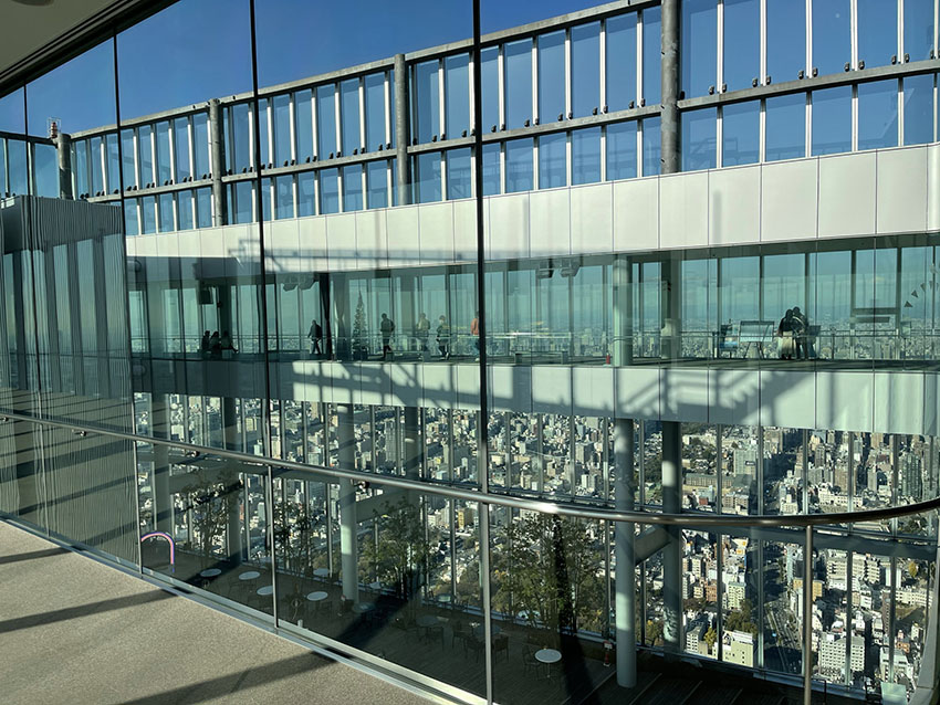 大阪マリオット都ホテル｜特典（あべのハルカス展望台）