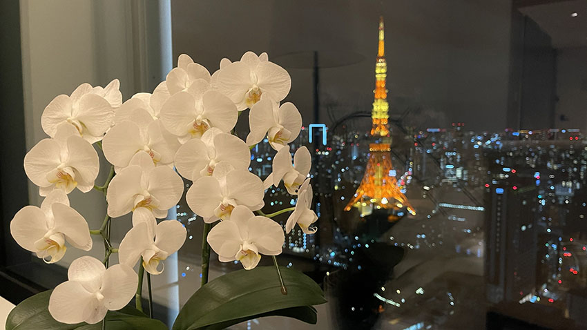 東京エディション虎ノ門｜スーペリアスイートルームの東京タワービュー