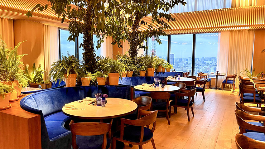 東京エディション虎ノ門｜The Blue Room