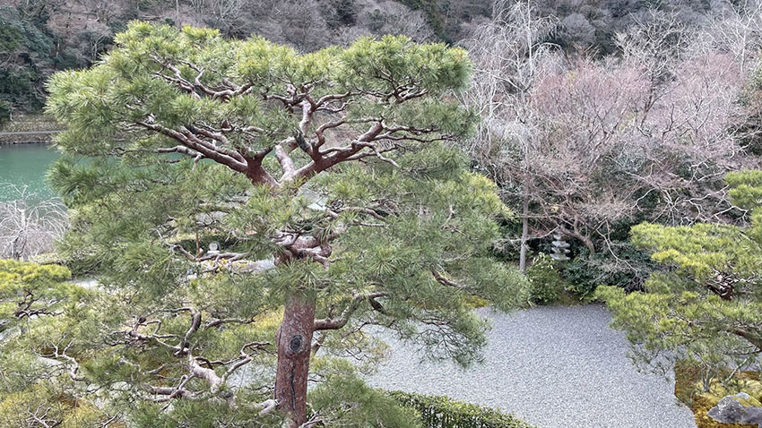 翠嵐ラグジュアリーコレクションホテル京都|翠嵐プレジデンシャルスイート温泉露天風呂付