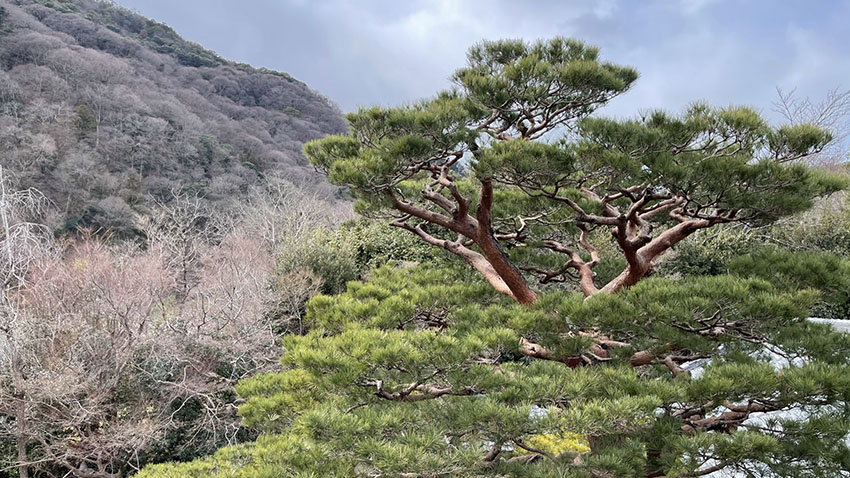 翠嵐ラグジュアリーコレクションホテル京都|翠嵐プレジデンシャルスイート温泉露天風呂付