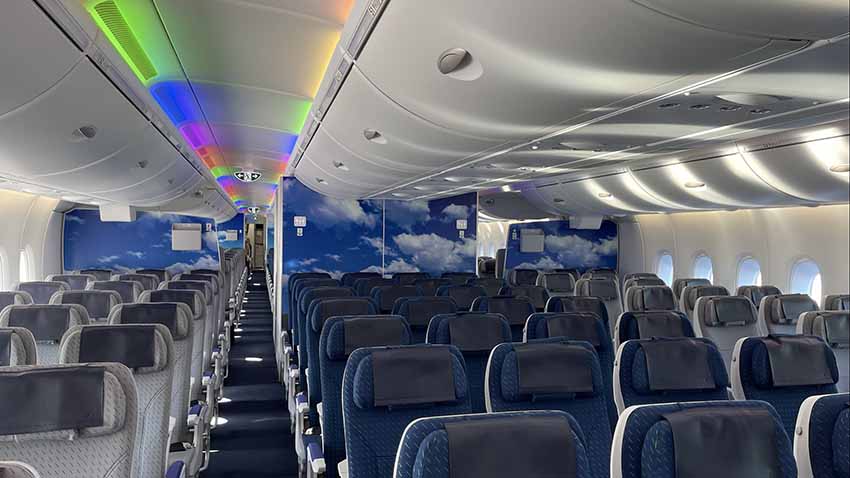 ANAフライングホヌ　エコノミークラス