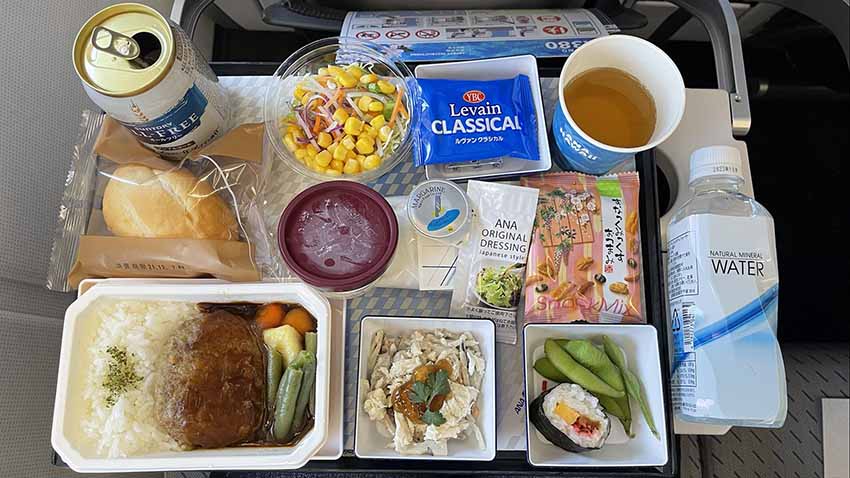 ANAフライングホヌ　エコノミークラス