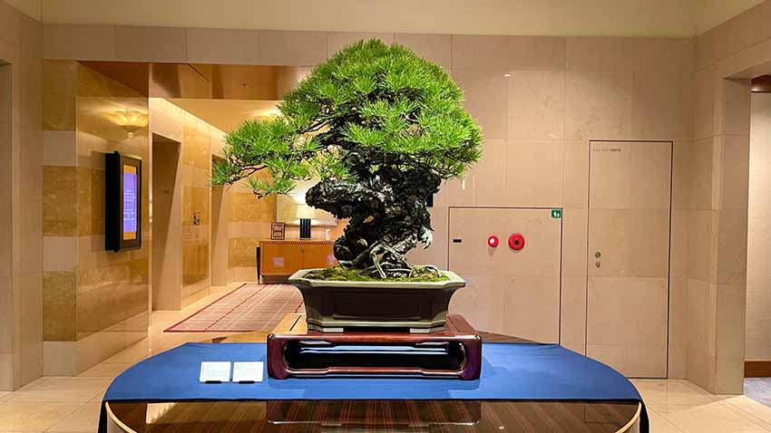 リッツカールトン東京宿泊記