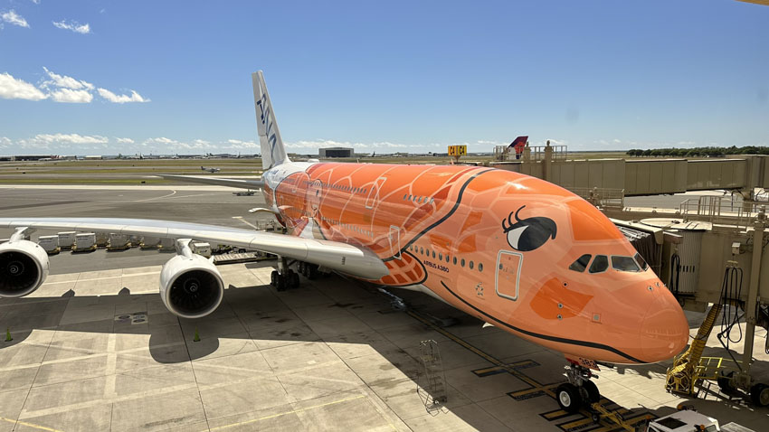 ANAフライングホヌ|3号機|ラー