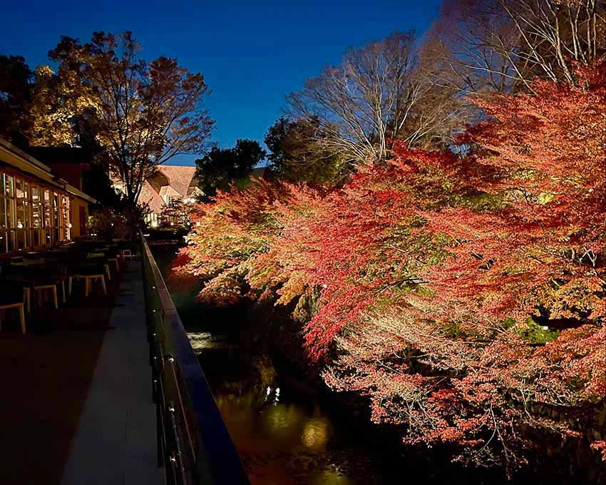 ROKU KYOTO 宿泊記|レストラン TENJIN