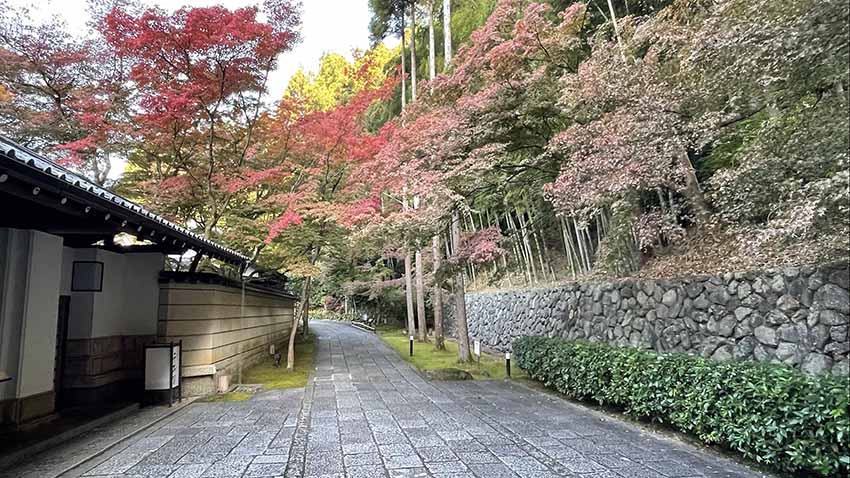 ROKU KYOTO宿泊記|紅葉