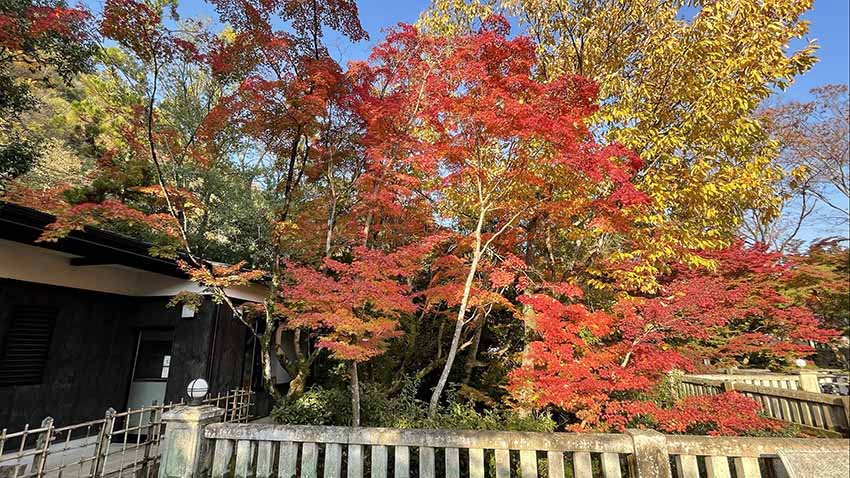 ROKU KYOTO宿泊記|紅葉