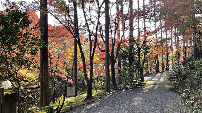 ROKU KYOTO宿泊記|紅葉
