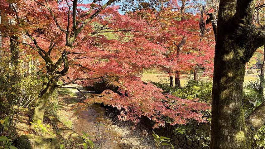 ROKU KYOTO宿泊記|紅葉