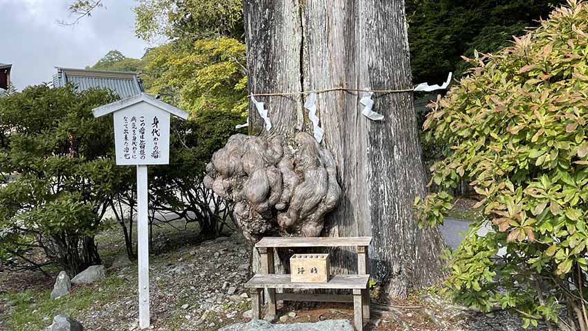 リッツカールトン日光(奥日光)周辺レストランと観光スポット|中禅寺