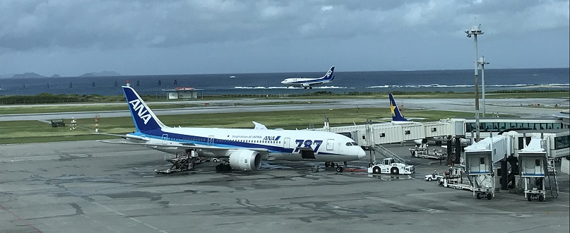 初心者陸マイラー活動1年目の成果は702,000マイル!~実践した活動内容を紹介~
