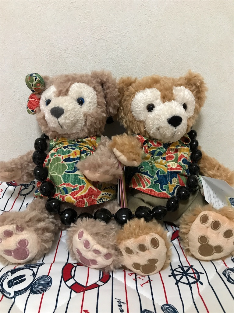 f:id:isao15453:20170615205755j:image f:id:isao15453:20170615205755j:image