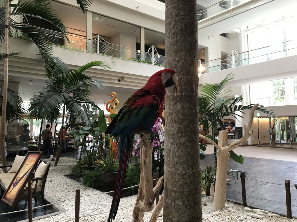 f:id:isao15453:20171116223229j:plain f:id:isao15453:20171116223229j:plain