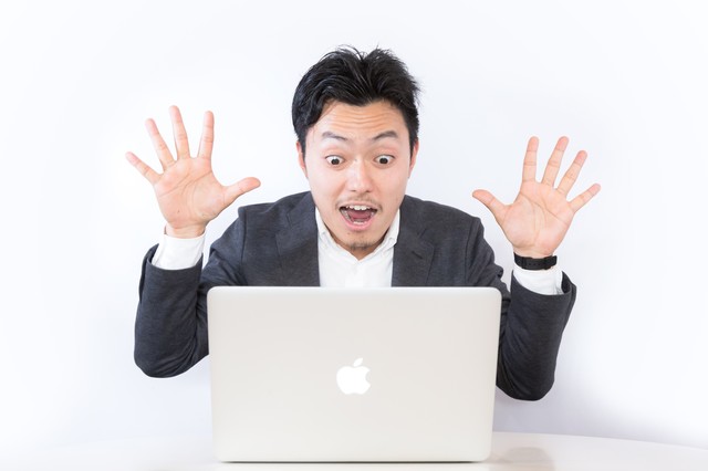 初心者陸マイラーブログ活動の1年間の成果は110万マイルオーバー~各月(1月~12月)の活動内容を振り返り~