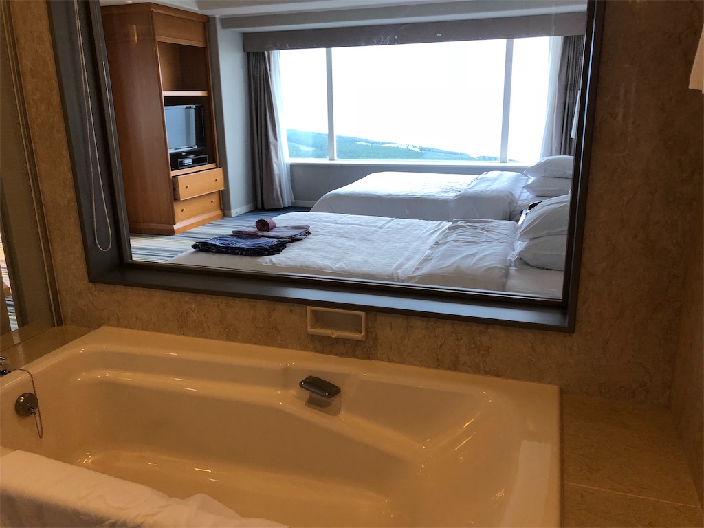 f:id:isao15453:20181020140302j:image