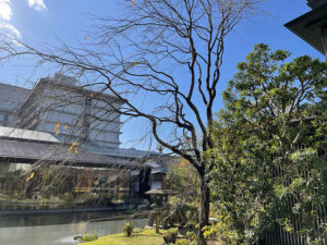 HOTEL THE MITSUI KYOTO（ホテルザ三井京都）｜庭園