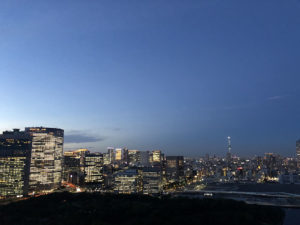 chapter2エグゼクティブガーデンビューバルコニー付きからの眺望