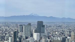 リッツカールトン東京宿泊記｜眺望