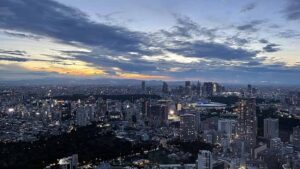 リッツカールトン東京宿泊記｜眺望