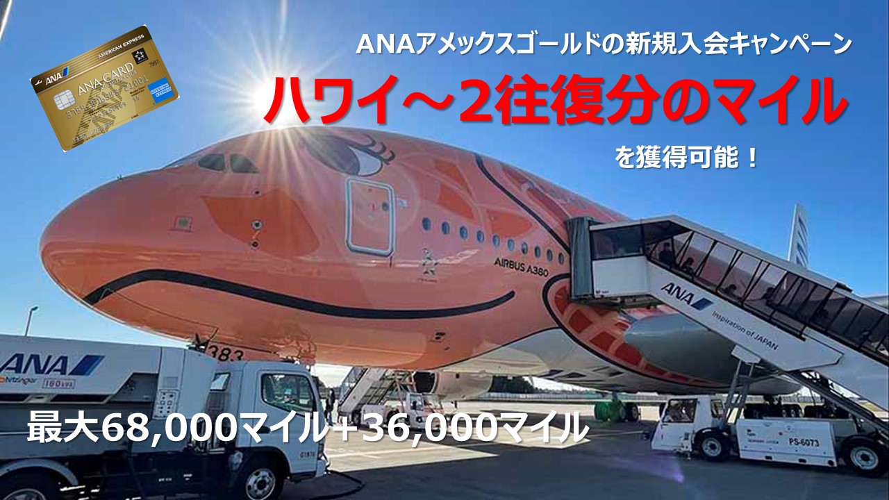 【最大6.8万マイル＋3.6万マイル】ANAアメックスゴールドの新規入会キャンペーンを解説【最新2025年11月版】