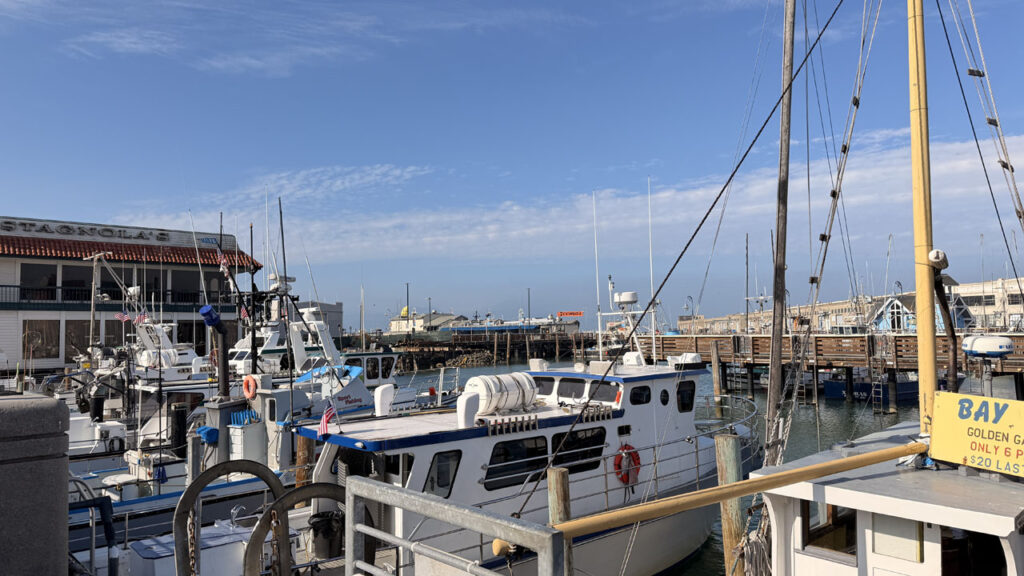 サンフランシスコ｜フィッシャーマンズ・ワーフ｜PEIR39