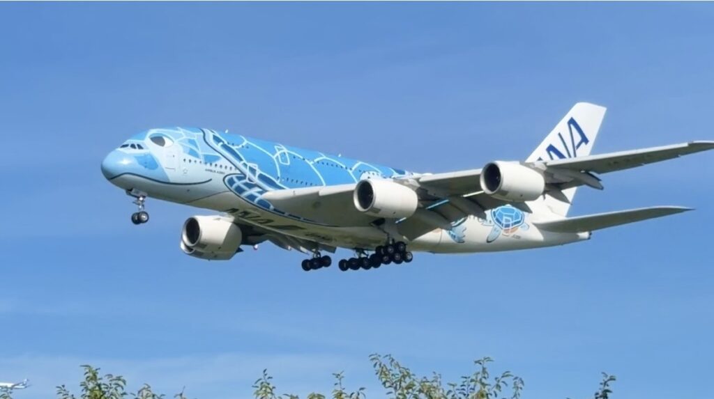 ANAフライングホヌ｜エアライン・クレジットで利用できる海外航空券