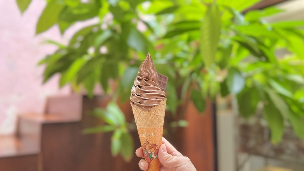 PARADAiのチョコレートソフトクリーム