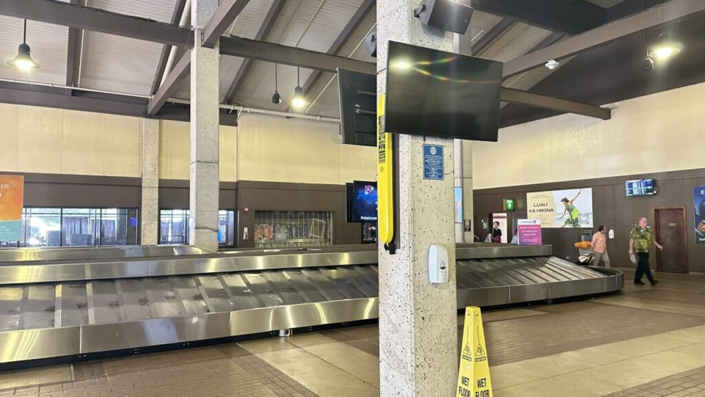 リフエ空港の手荷物受取所