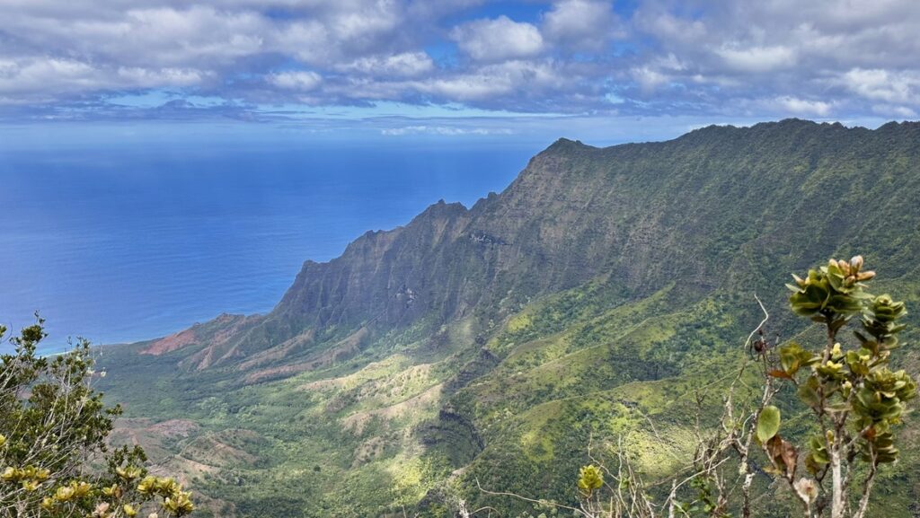 Puʻu O Kila Lookoutから望むナ・パリの断崖と海