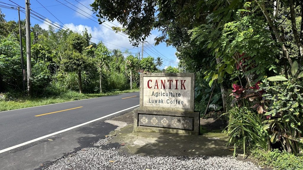 道沿いに立つCantik Agriculture Luwak Coffeeの看板