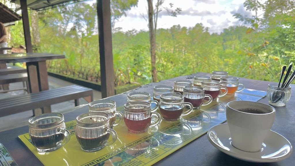 緑を眺めるテーブルに並んだコーヒーとお茶の試飲