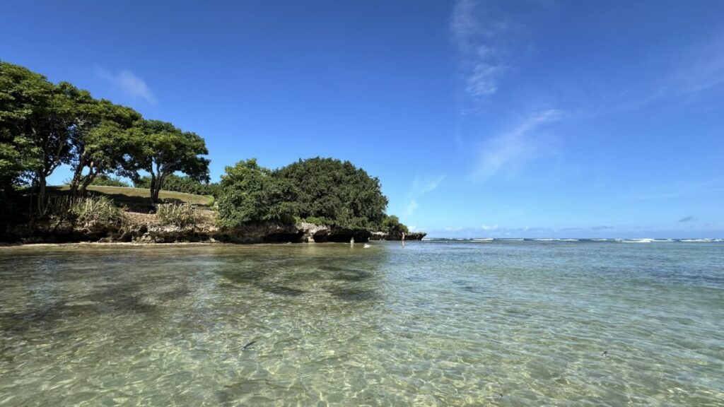 遠浅の海