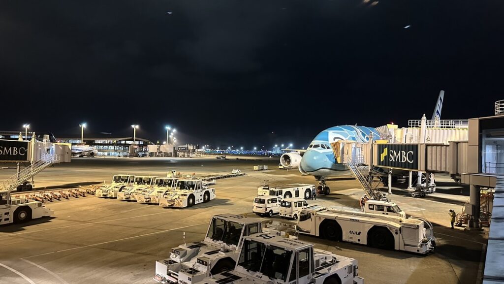 出発空港に駐機するANAの機体
