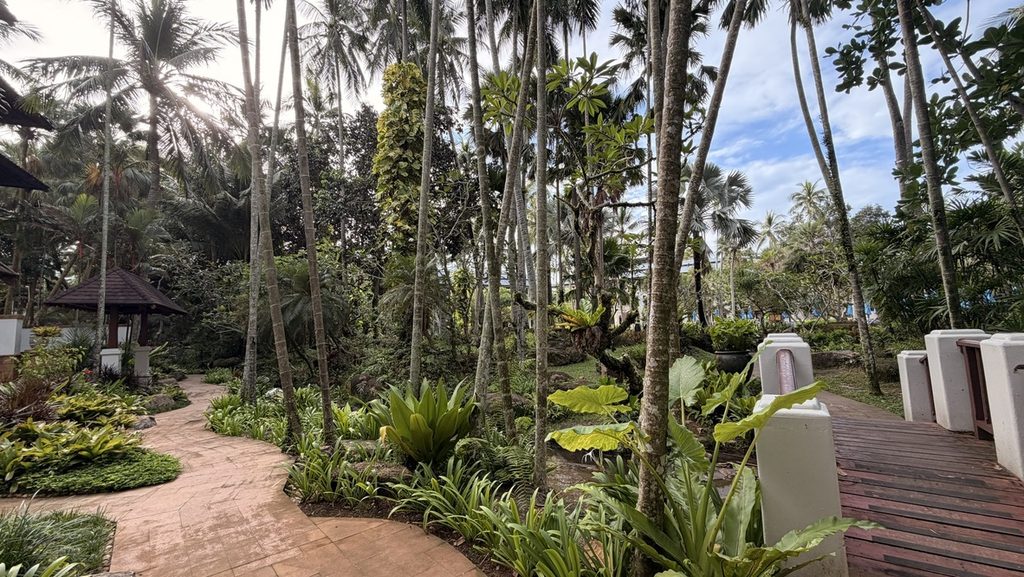 熱帯の植物に囲まれたリゾート内の遊歩道