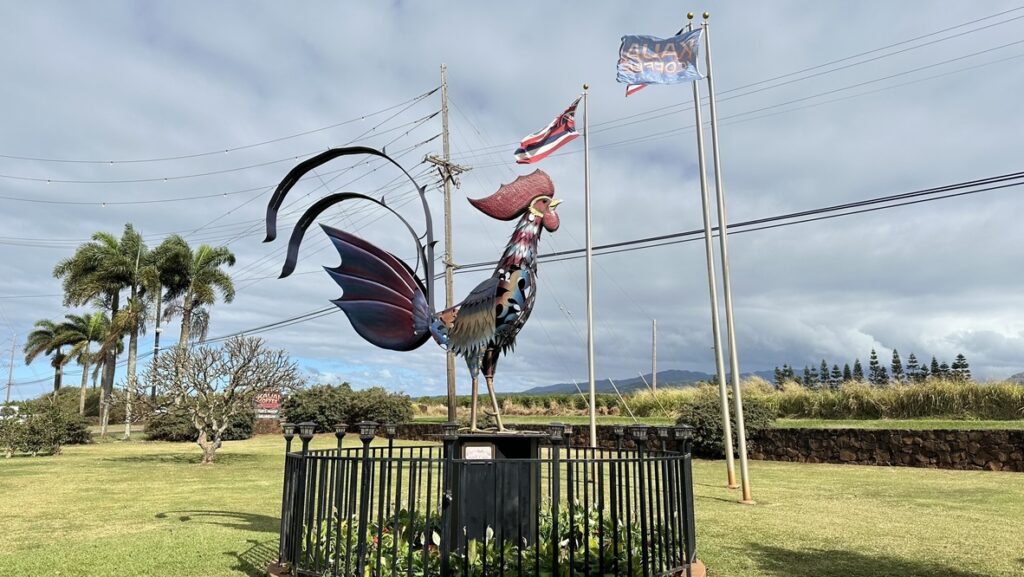 Kauaʻi Coffee Company敷地内の大きなニワトリ像
