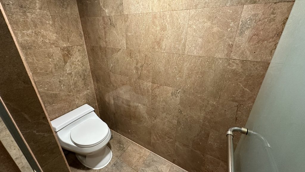 クラブラウンジアクセス付き1ベッドルームスイートのトイレ