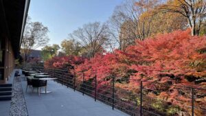 ROKU KYOTO 宿泊記｜紅葉