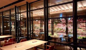 ROKU KYOTO 宿泊記｜紅葉
